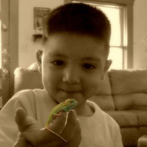 Zay And Our Little Chameleon