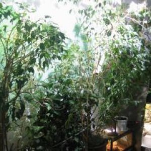 Welcome To The Jungle