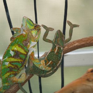 Come Here Often?