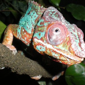 P1010063