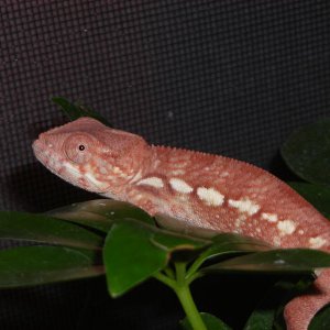 Dscn7705