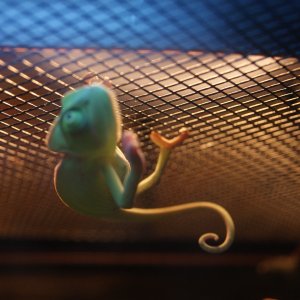 Oh Hi!