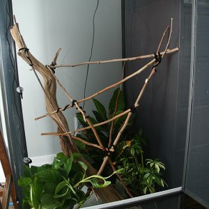 Spikes Cage