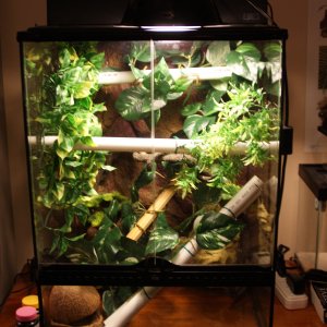 Maybe Terrarium