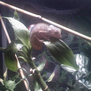 My New Memeber