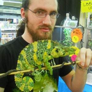 Picking My Cham At Tucson Reptile Expo