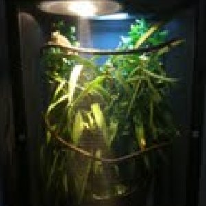 Gizmo's Cage
