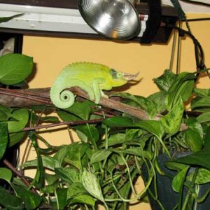 Img 0528
