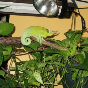 Img 0528 306968
