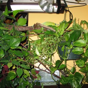Img 0468