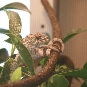 Img 4396