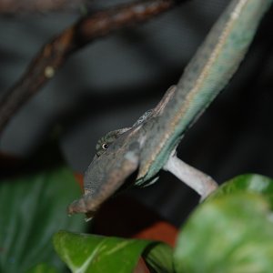 Dsc 0409
