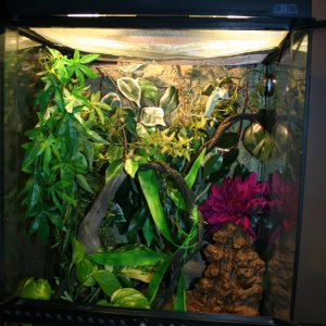 Camo's Home