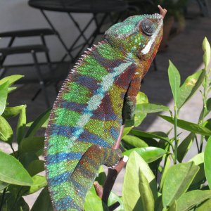 Img 0819