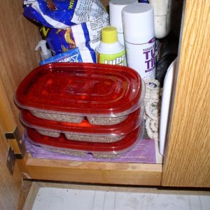My Fancy Incubator