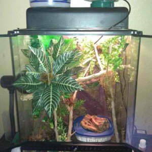 His Starter Setup