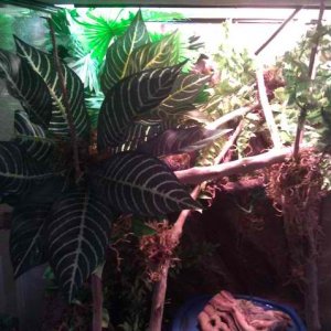 Img 20110224 154726