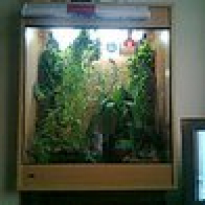 Full Viv View