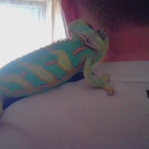 Chilling Out