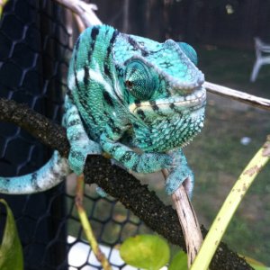 Duncan Outside