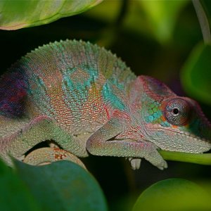 Img 7083