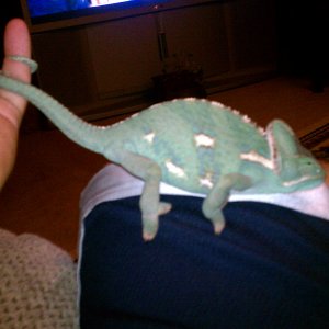 Spikey