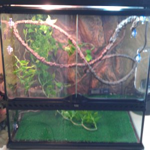 Exo Terra Cage