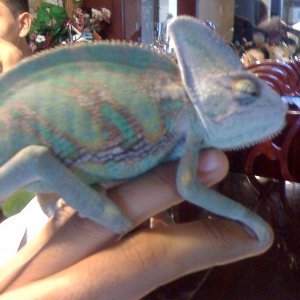 Photo-4