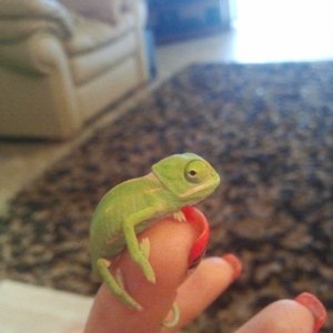 Baby Leia