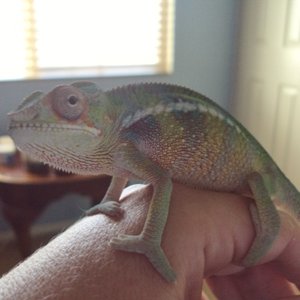 4 Months!