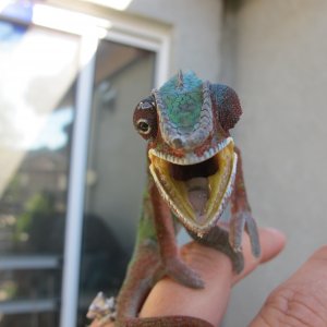 Not Liking The Camera