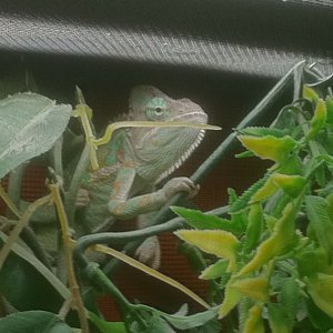 Sam Looking Handsome