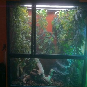 Sams Cage