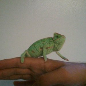 This Is My Charlie.