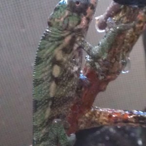 Hanging Out After A Misting Session