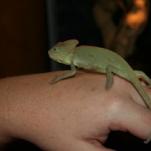 Kimani At 2 1/2 Months