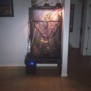 $1100 Setup