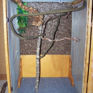 Chameleon Cage