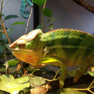 Basking Away