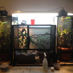 And Picture Of My Cages