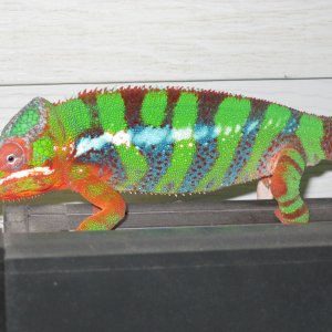 Grendel
