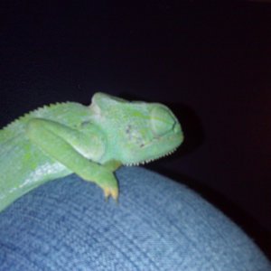 This Is Our Boy Juju