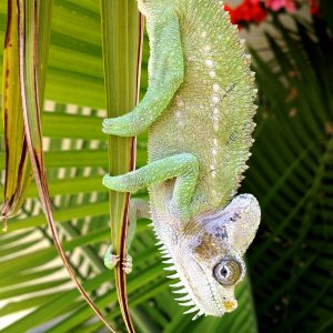 Just Hangin Out