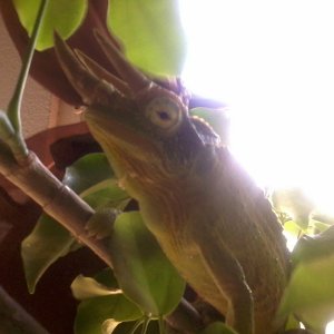 Img 20120626 095919