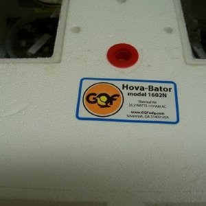 Incubator (hova-bator) Pic #2