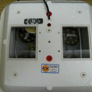Incubator (hova-bator) Pic #4
