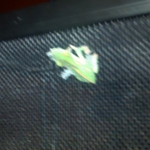 2012-06-23 00-57-08 8