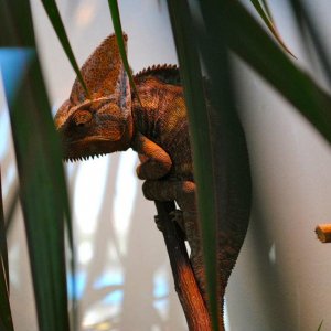 This Is My House....