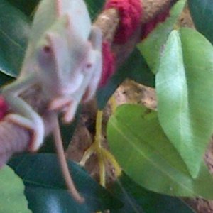 Img-20121004-00107