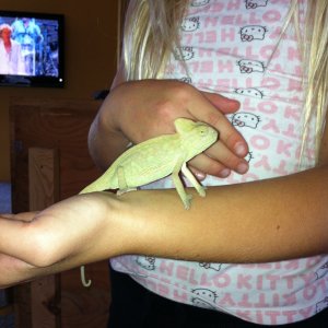Spike - 10/21/12